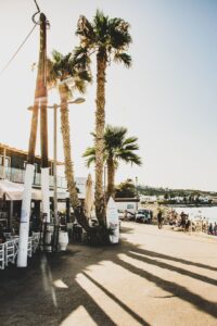 viktor-theo-754966-unsplash