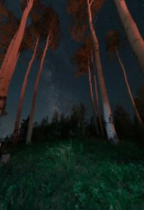 nathan-anderson-390498