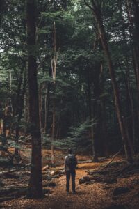 axel-holen-798911-unsplash