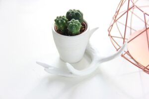 minimal_bronze_stock_photo_13